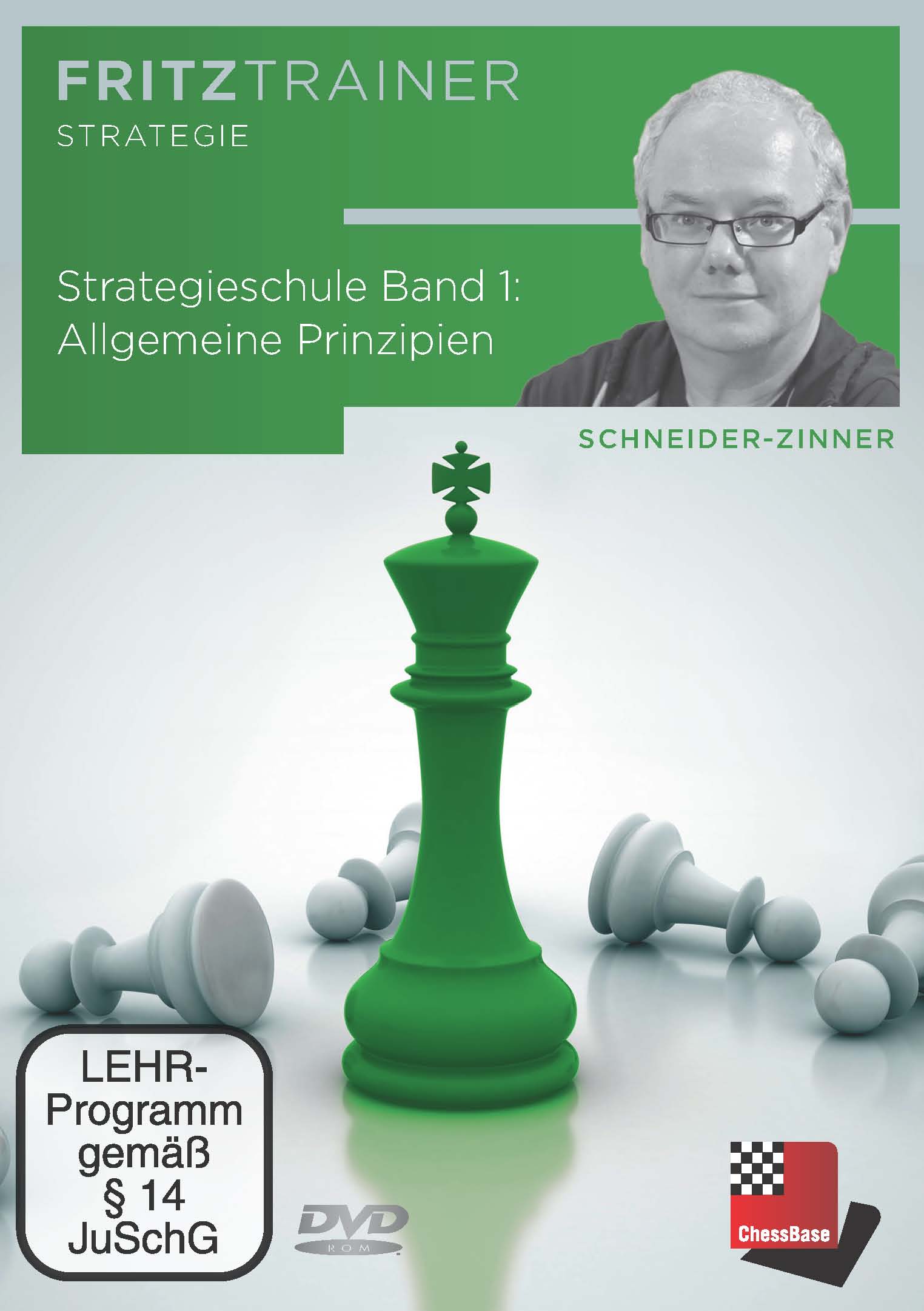 Schneider-Zinner: Strategieschule Band 1: Allgemeine Prinzipien