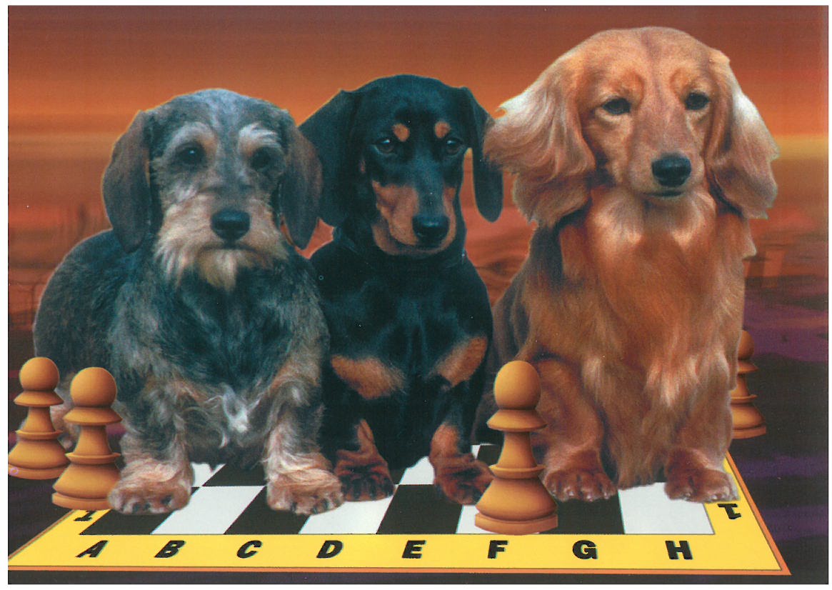 Postkarten „Schach und Kunst“ – Motiv 08